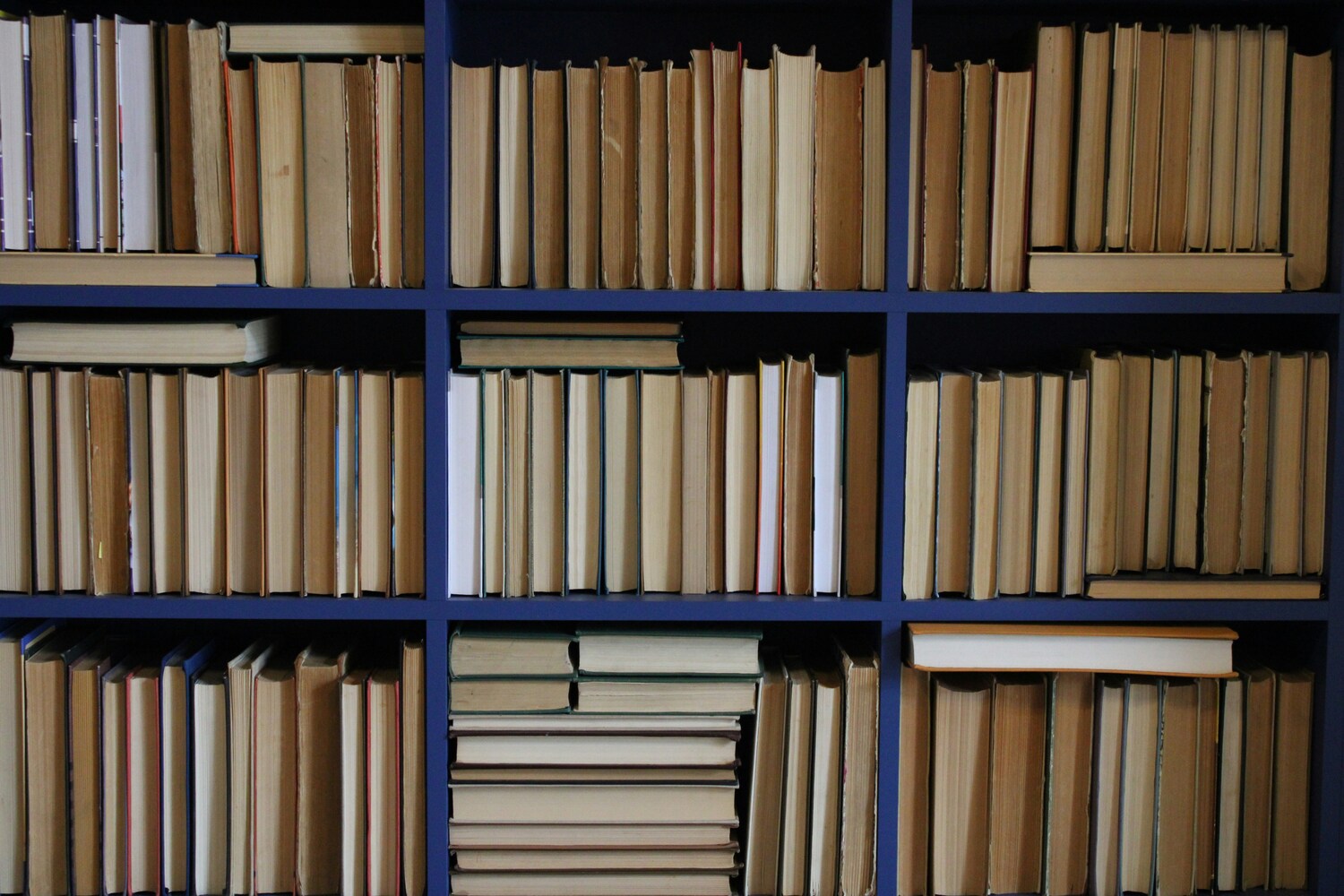 olga-vilkha-hf68cf3-zFc-unsplash-1 a row of books